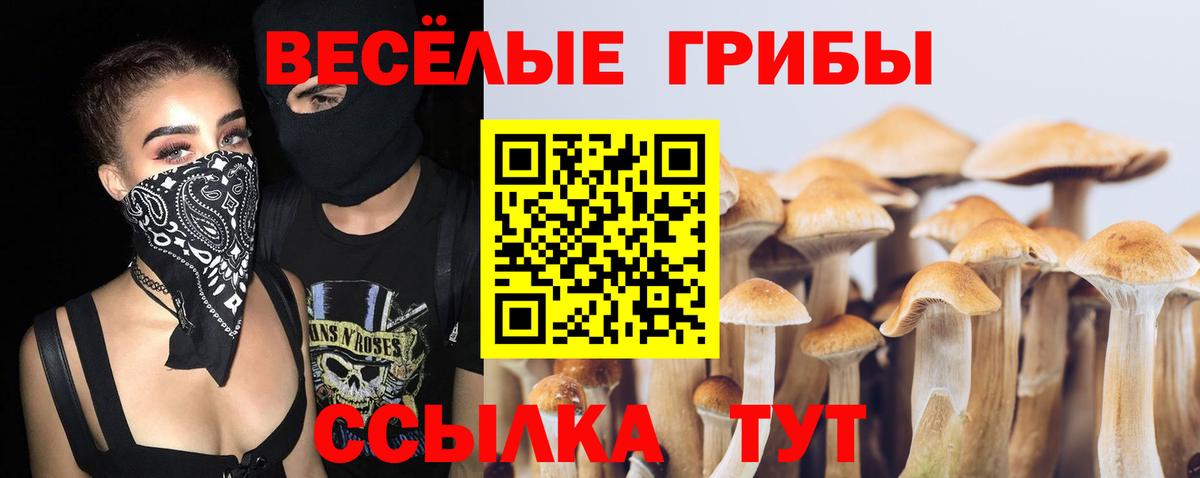 Тюмень  цена   Вход с VPN  Псилоцибиновые грибы Psilocybine cubensis  Псилоцибиновые грибы Psilocybe 